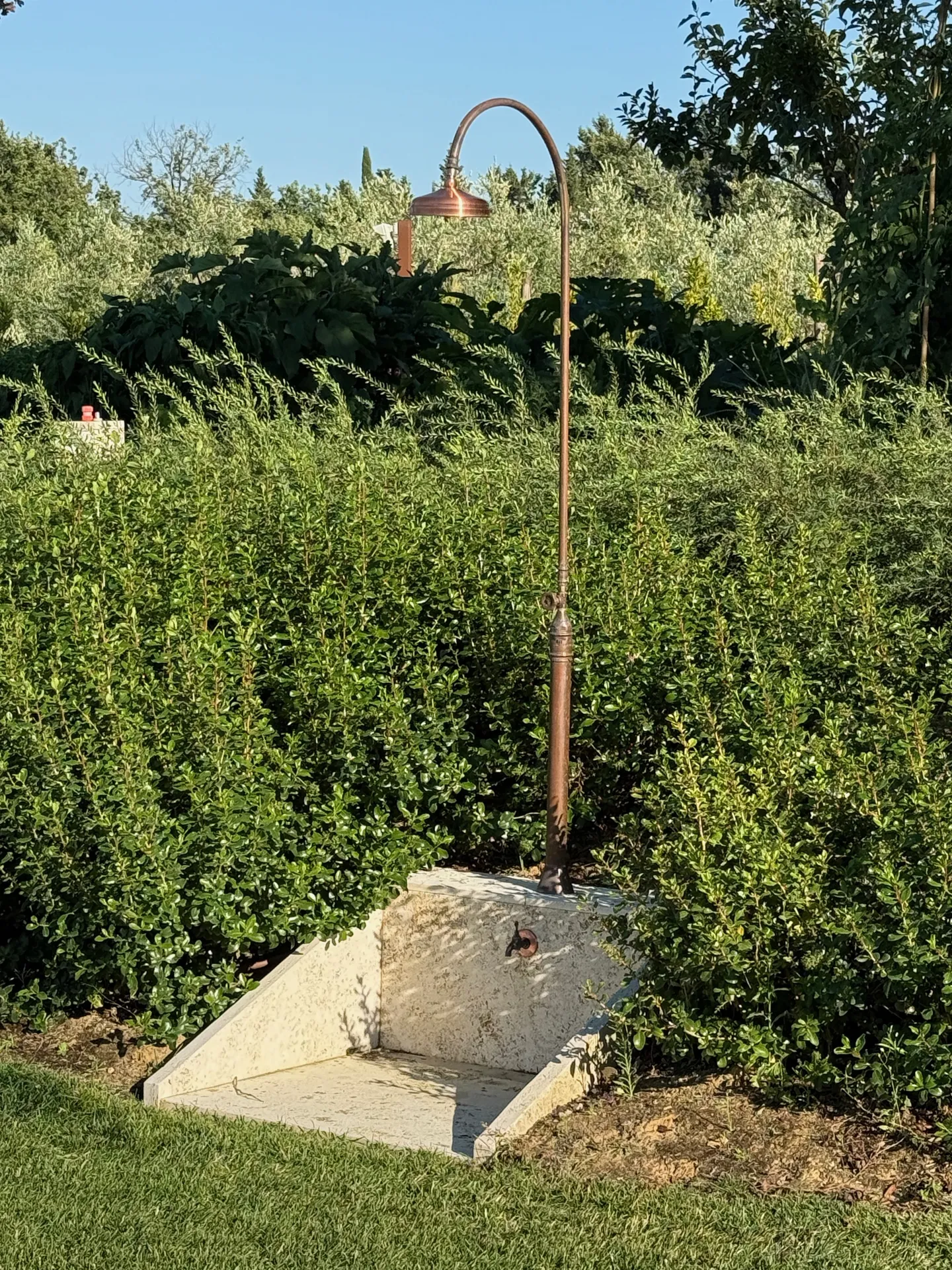 Alt Image