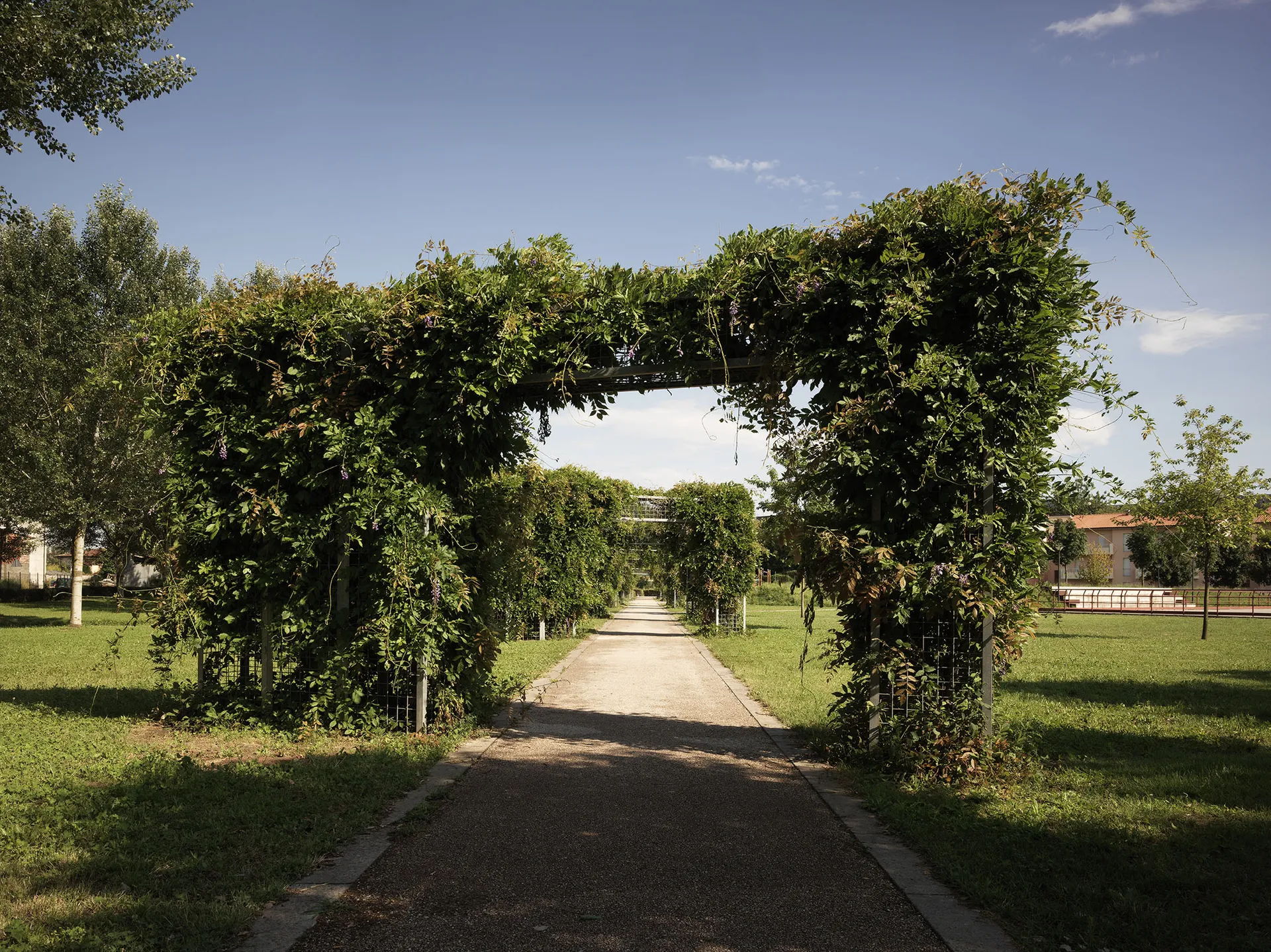 Alt Image