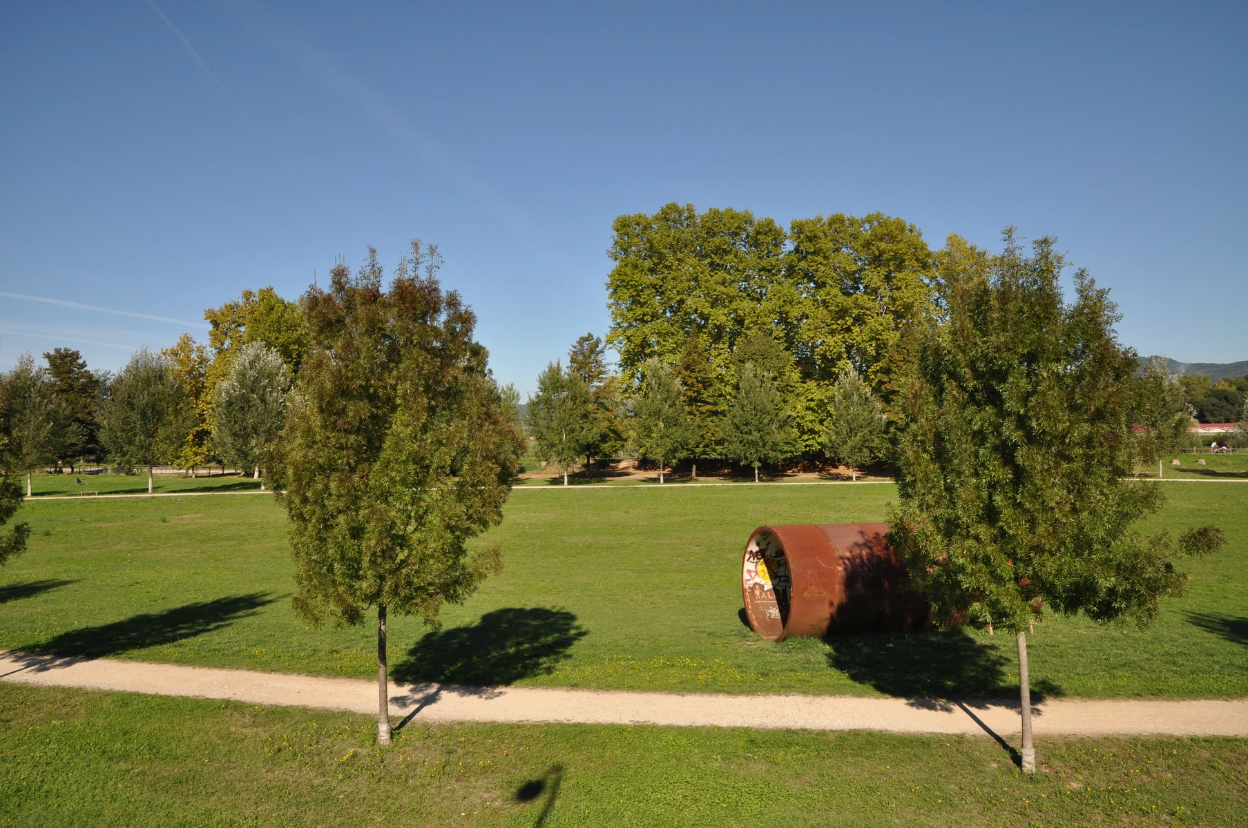 Radura a prato bordata da filari di alberi nel parco fluviale del Serchio a Lucca