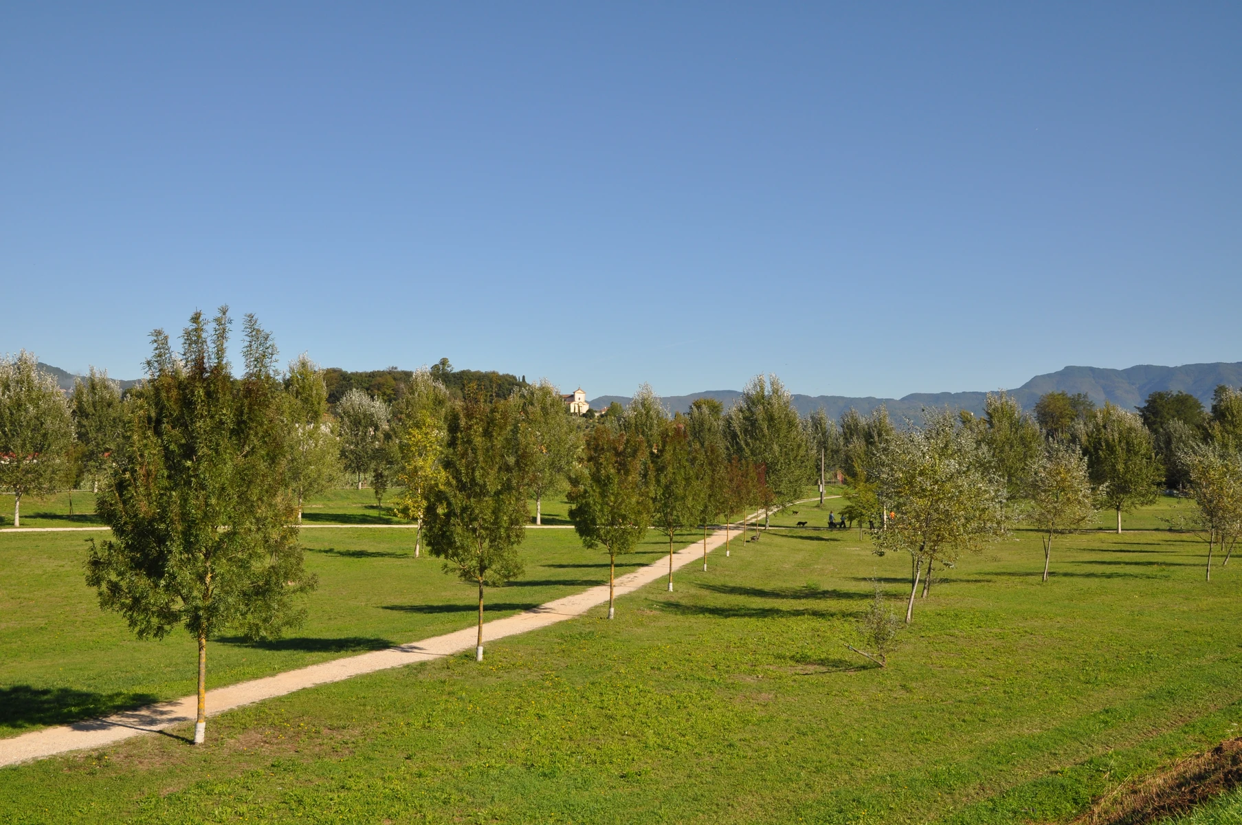 Vegetazione e percorsi immersi nel paesaggio fluviale del Parco dell'Infinito a Lucca