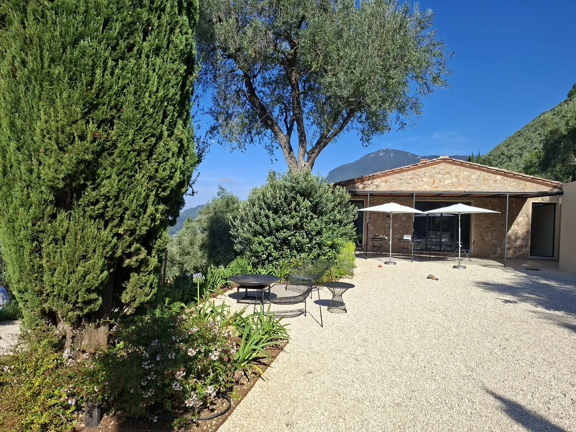 Piscina e patio in ghiaia tra ulivi e cipressi con vista sulle colline