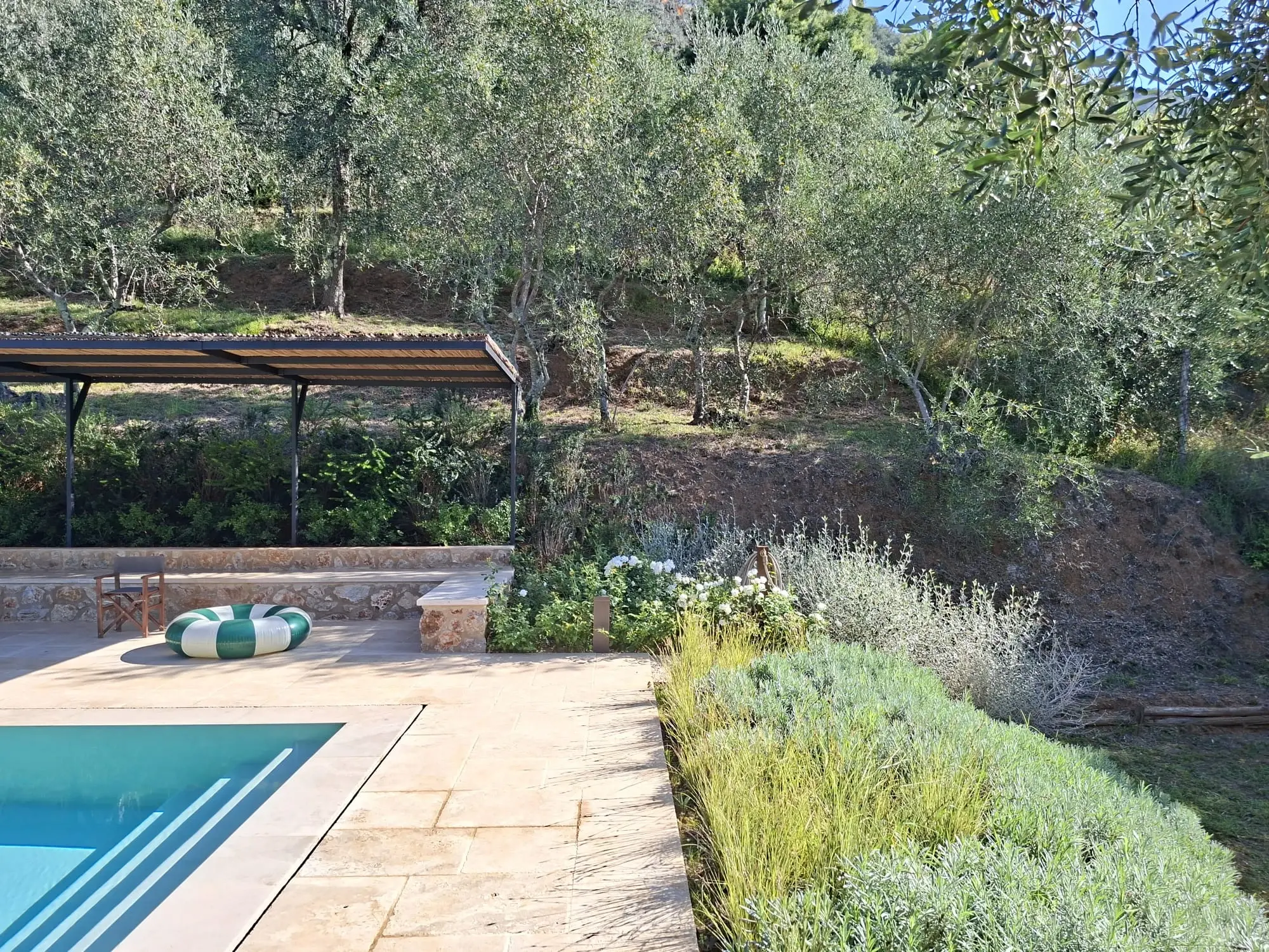 Bordo piscina in pietra con siepi fiorite e terrazzamento verso il bosco di ulivi