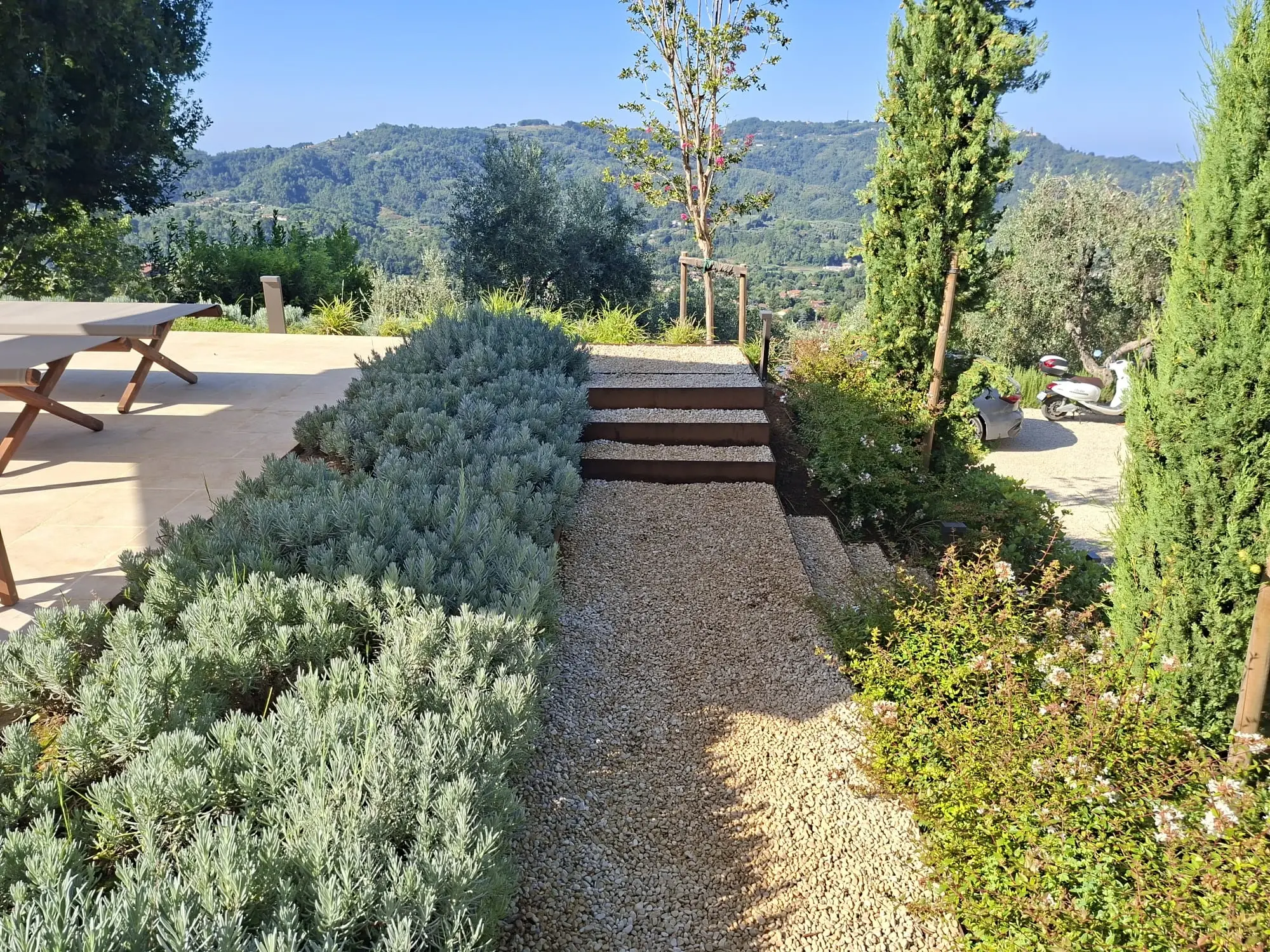 Percorso in ghiaia tra lavanda e cipressi con vista sulle colline lucchesi
