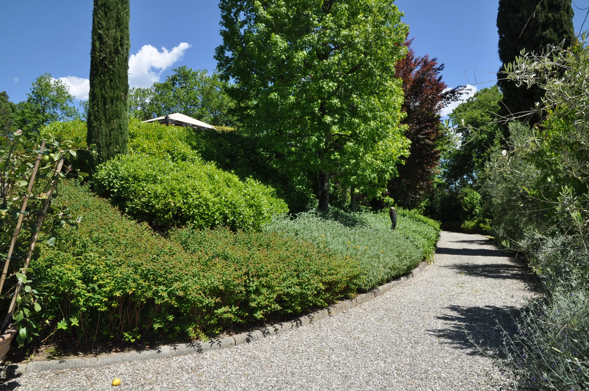 Alt Image