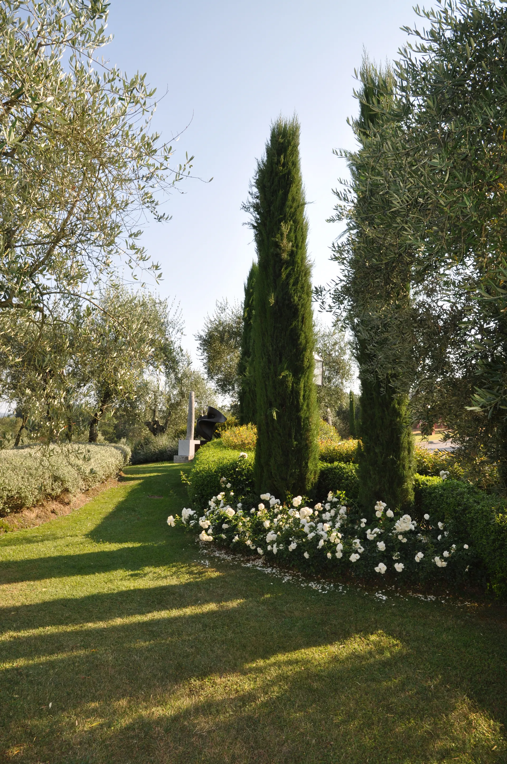 Alt Image