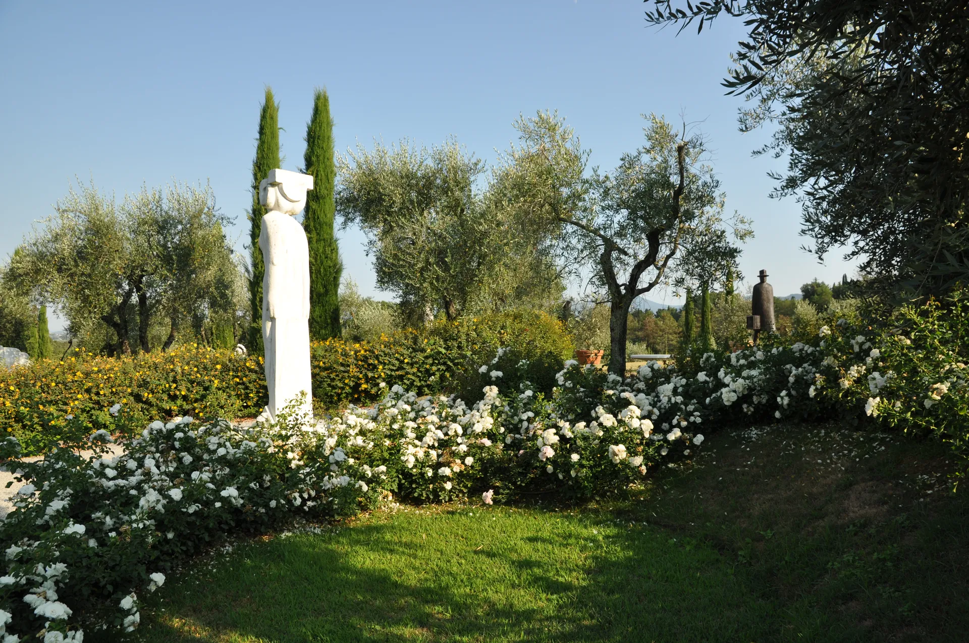 Alt Image