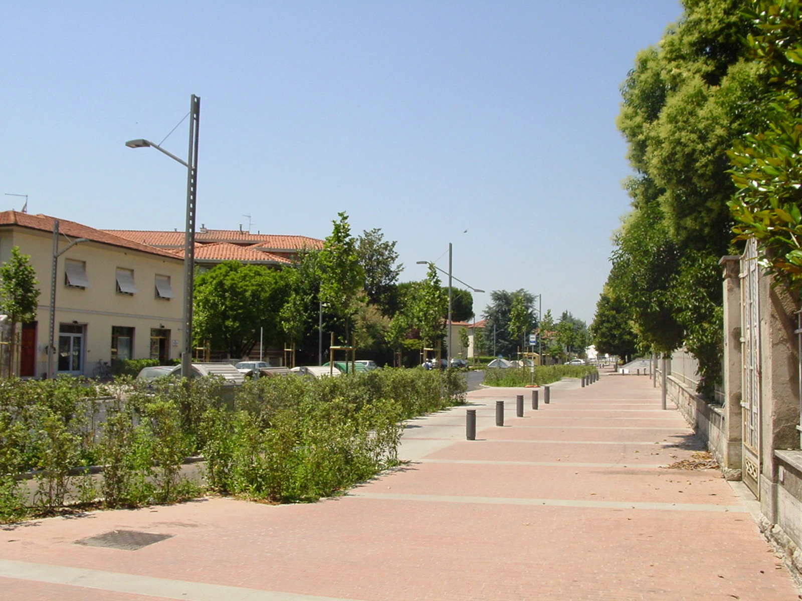 Filari di alberi lungo Viale Barsanti e Matteucci verso l'argine del fiume Serchio a Lucca