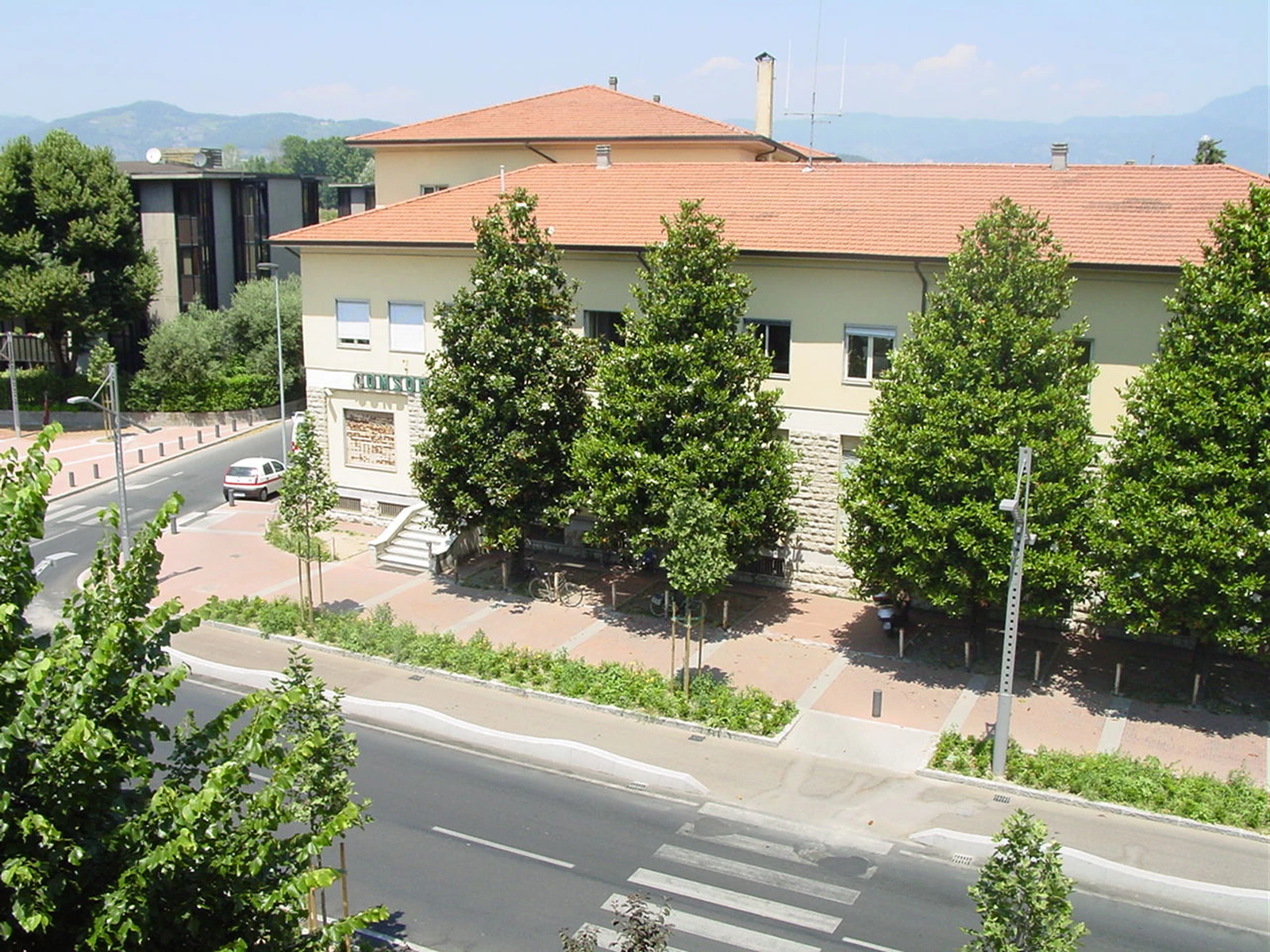 Nuove alberature e arbusti lungo Viale Barsanti e Matteucci a Lucca